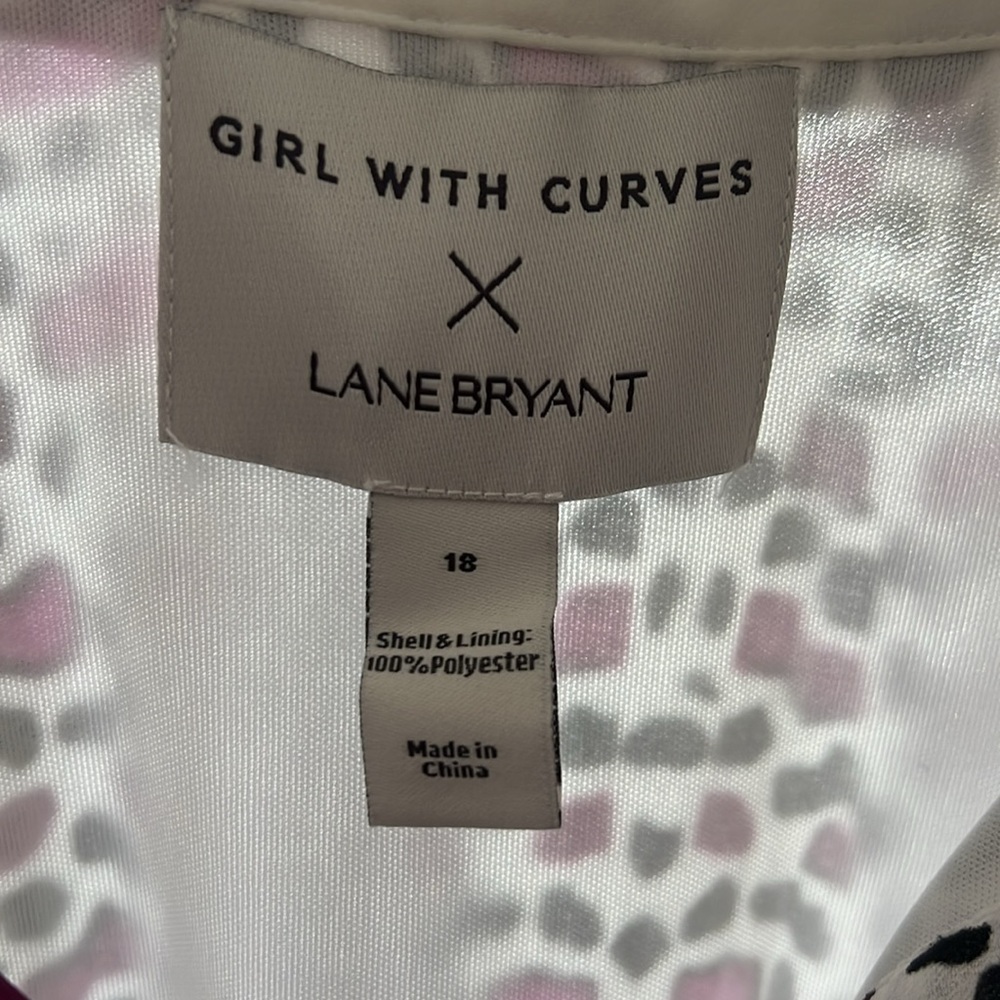 Lane Bryant Girl with Curves size 18 - Picture 7 of 14